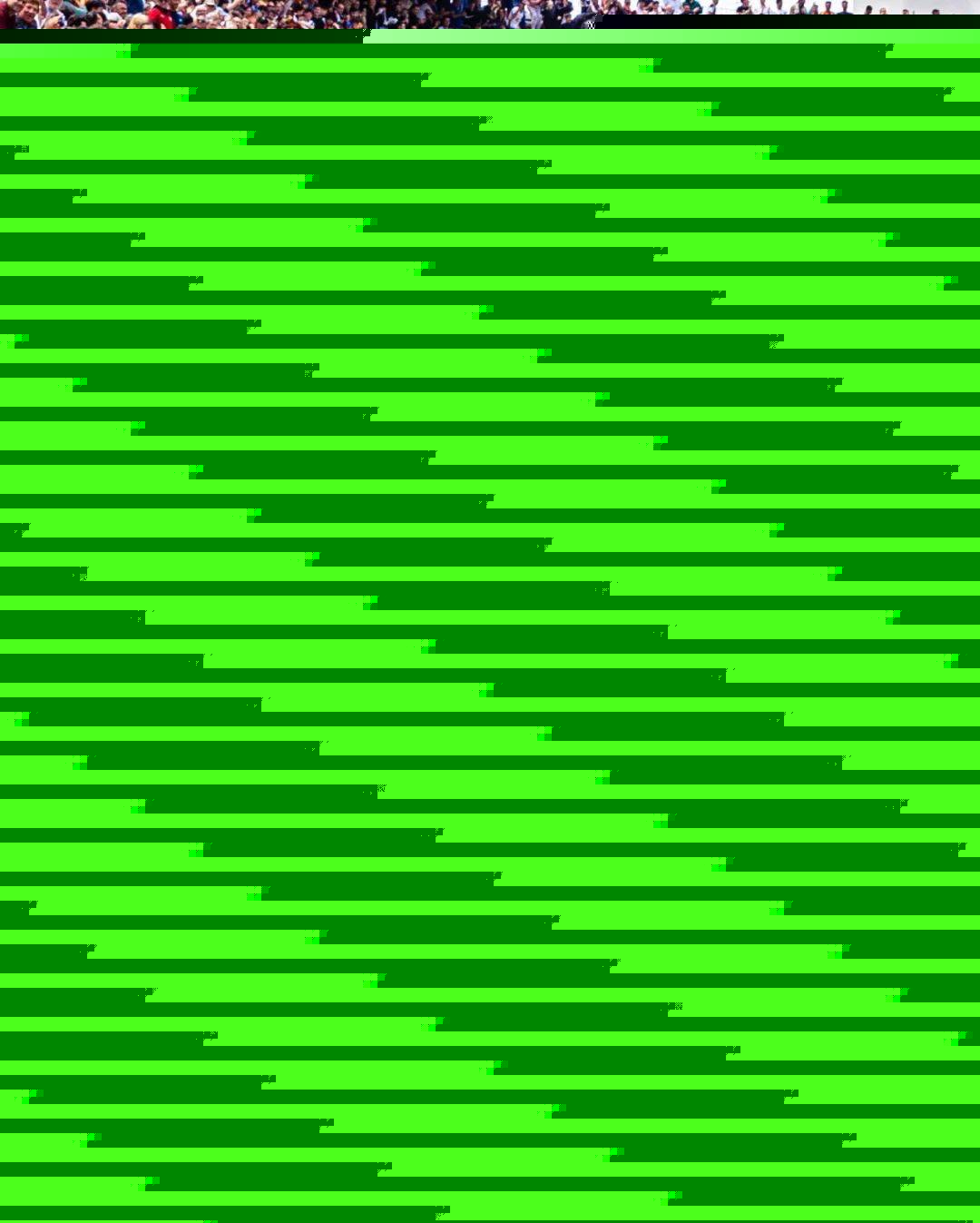 色团队凝聚 色团队凝聚